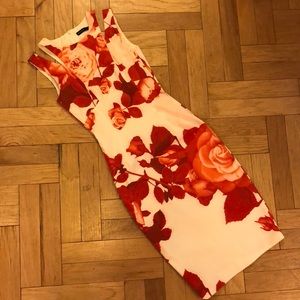Karen Millen Garden Party Floral Dress